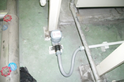 IMG_2164.jpeg