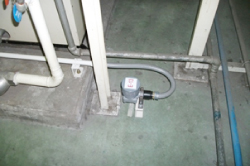IMG_2166.jpeg