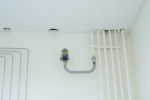 IMG_2174.jpeg
