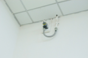 IMG_2176.jpeg